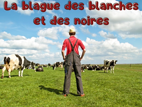 blague homme d'affaire, blague troupeau, blague production, blague vaches, blague moutons, blague poules, humour drôle