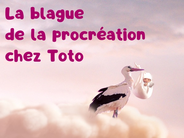 blague parents, blague Toto, blague école, blague naissance, blague cigognes, blague naissance naturelle, humour drôle