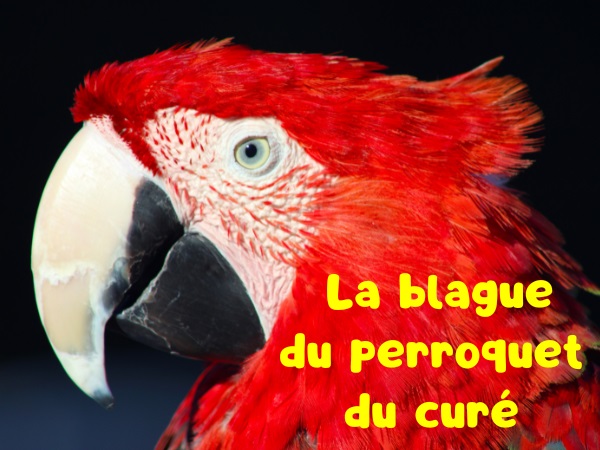 blague perroquet, blague volatile, blague curé, blague chauves, blague pénitence, blague harmonium, humour drôle