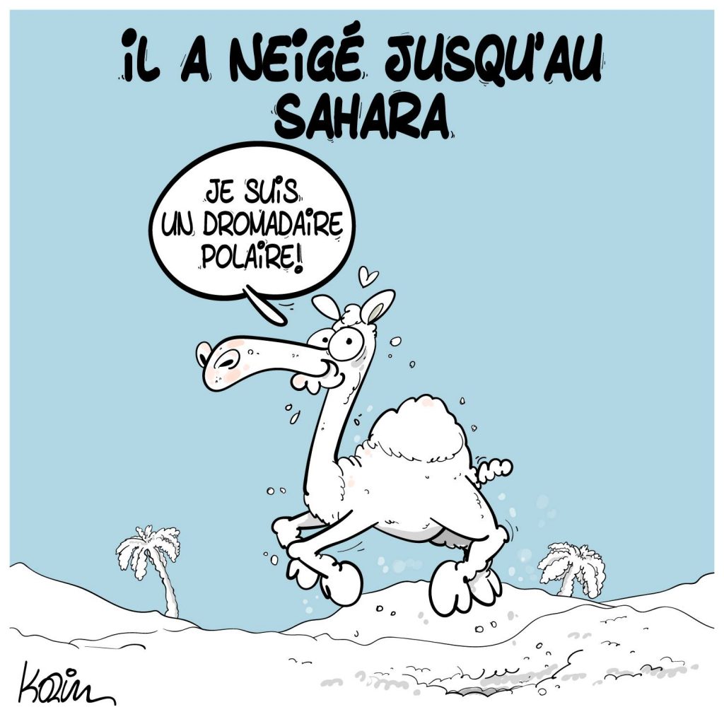 dessin presse humour hiver neige image drôle Sahara