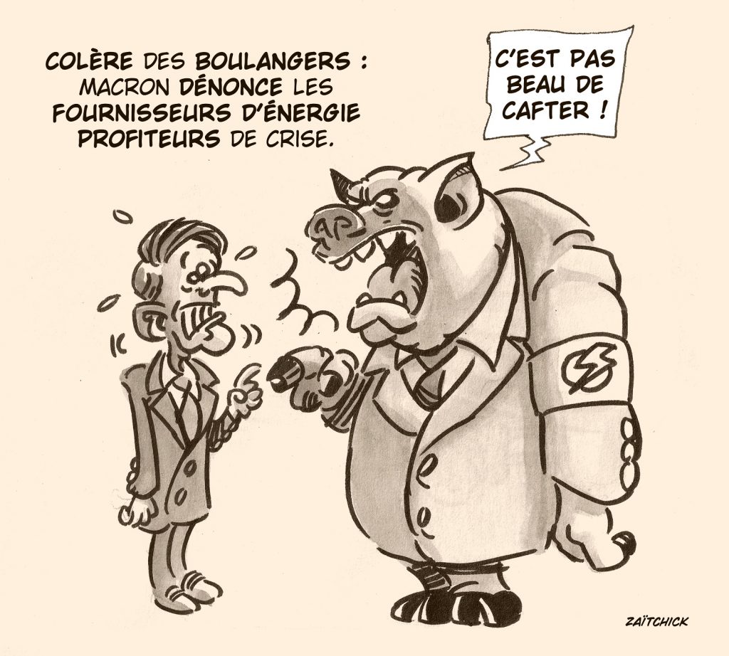 dessin presse humour Emmanuel Macron image drôle énergéticiens