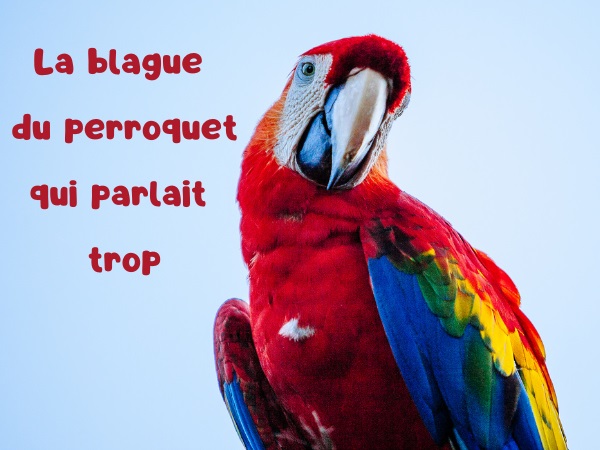 blague perroquet, blague sodomie, blague suppositoire, blague vulgarité, blague enculer, blague vétérinaire, humour drôle