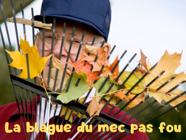 blague asile, blague hôpitaux psychiatriques, blague folie, blague jardinage, blague atelier, humour drôle