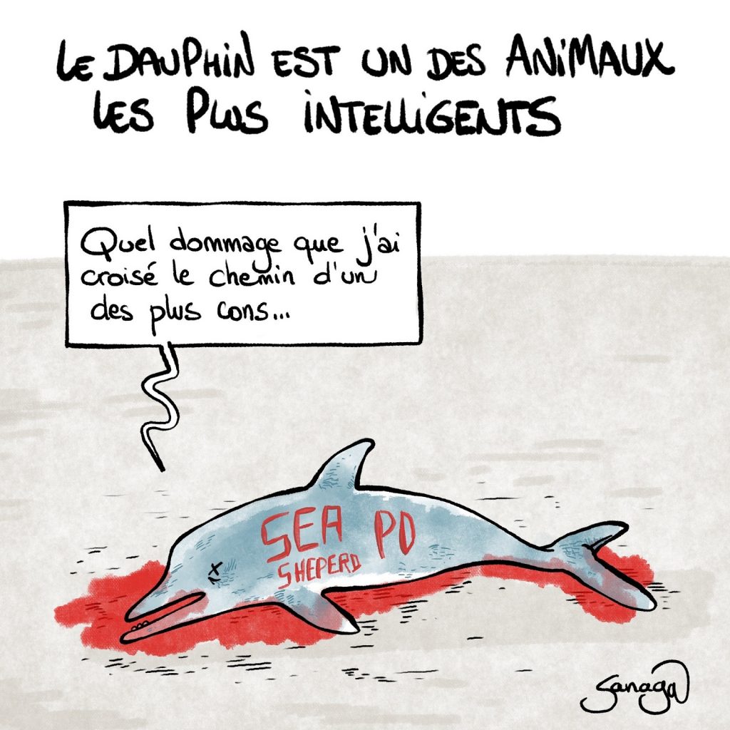 dessin presse humour intelligence dauphin image drôle connerie humaine