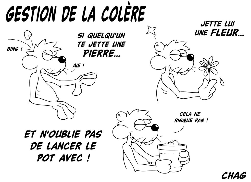 dessin humoristique gestion image drôle colère