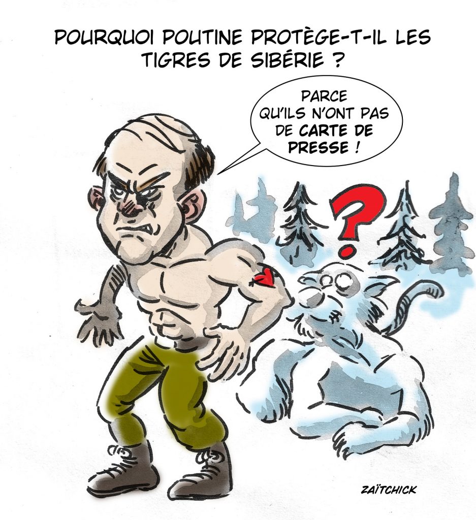 dessin presse humour Vladimir Poutine image drôle tigres Sibérie