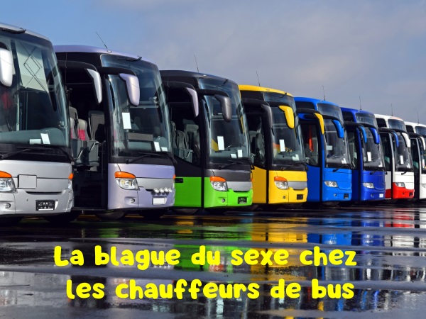 blague chauffeur, blague sexe, blague viagra, blague attente, blague déformation professionnelle, blague bus, humour drôle