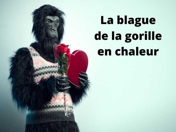 blague zoo, blague gorille, blague sexe, blague zoophilie, blague chaleur, blague tarif, humour drôle