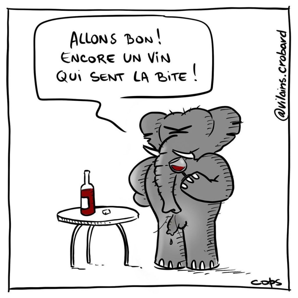 gag image drôle éléphant image drôle nez vin