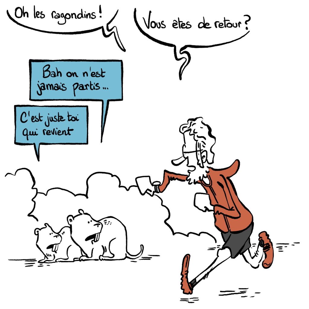 dessin humour quarantenaire image drôle sport ragondin genoux