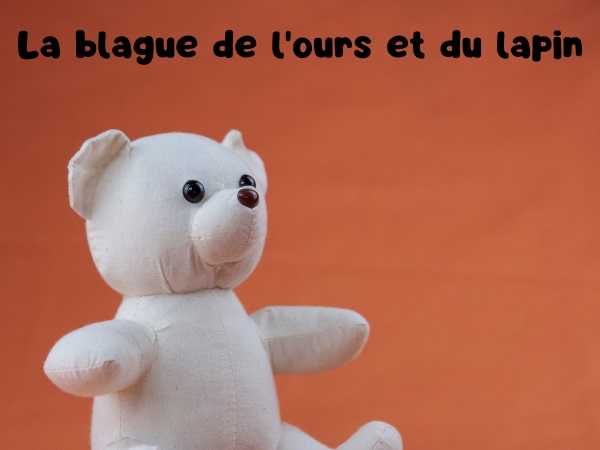 blague ours, blague lapins, blague grenouilles, blague magie, blague vœux, blague arnaque, humour drôle