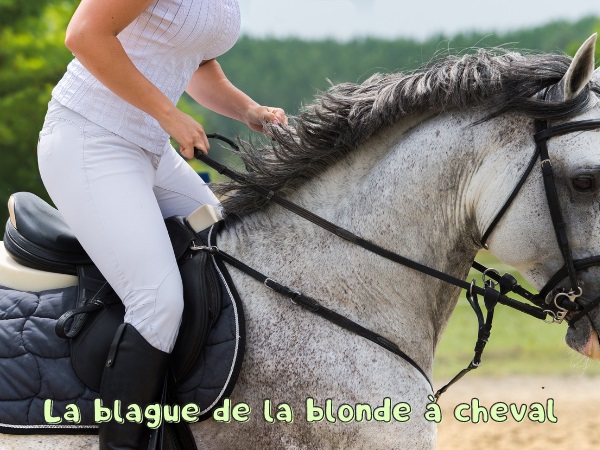 blague équitation, blague manège, blague cheval, blague supermarché, blague crinière, blague cavalière, humour drôle