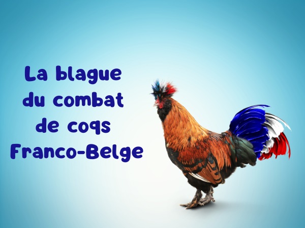 blague police, blague combat de coqs, blague canards, blague pari, blague mafia, blague vainqueur, humour drôle