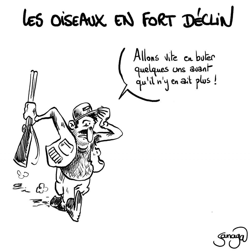 dessin presse humour déclin oiseaux image drôle chasseur