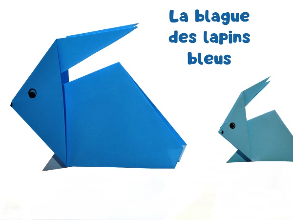 blague asile de fous, blague psychiatre, blague moto, blague lapin, blague départ, blague asile psychiatrique, humour drôle