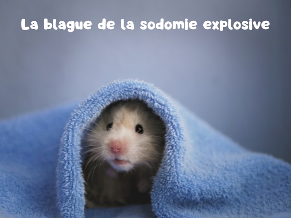 blague homosexualité, blague zoophilie, blague accident, blague sodomie, blague blessures, blague hamster, humour drôle