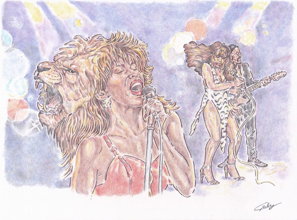 dessin presse humour décès image drôle Tina Turner