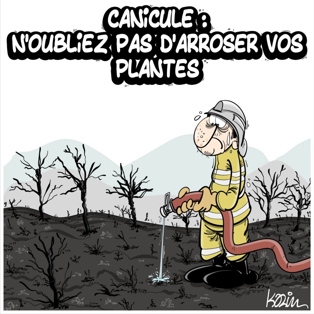 dessin presse humour canicule image drôle incendies de forêts