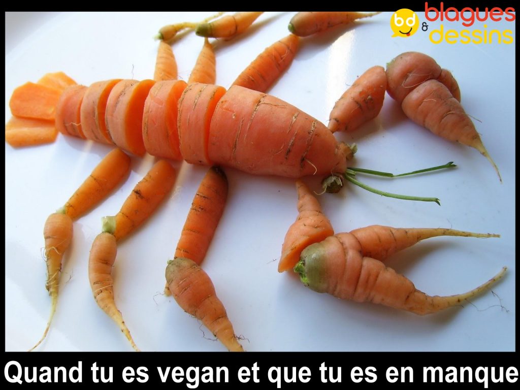 dessin humour crustacé image drôle vegan