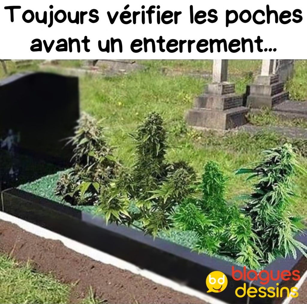 dessin humour vérification poches image drôle cannabis