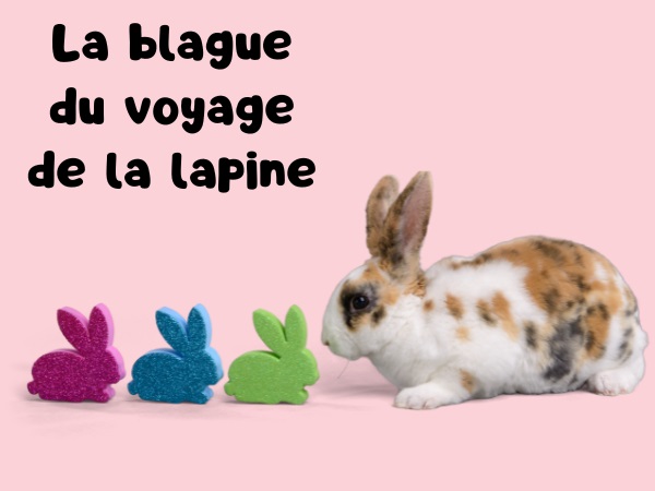 blague chantage, blague arnaque, blague sexe, blague lapine, blague voyage, blague lapins, humour drôle