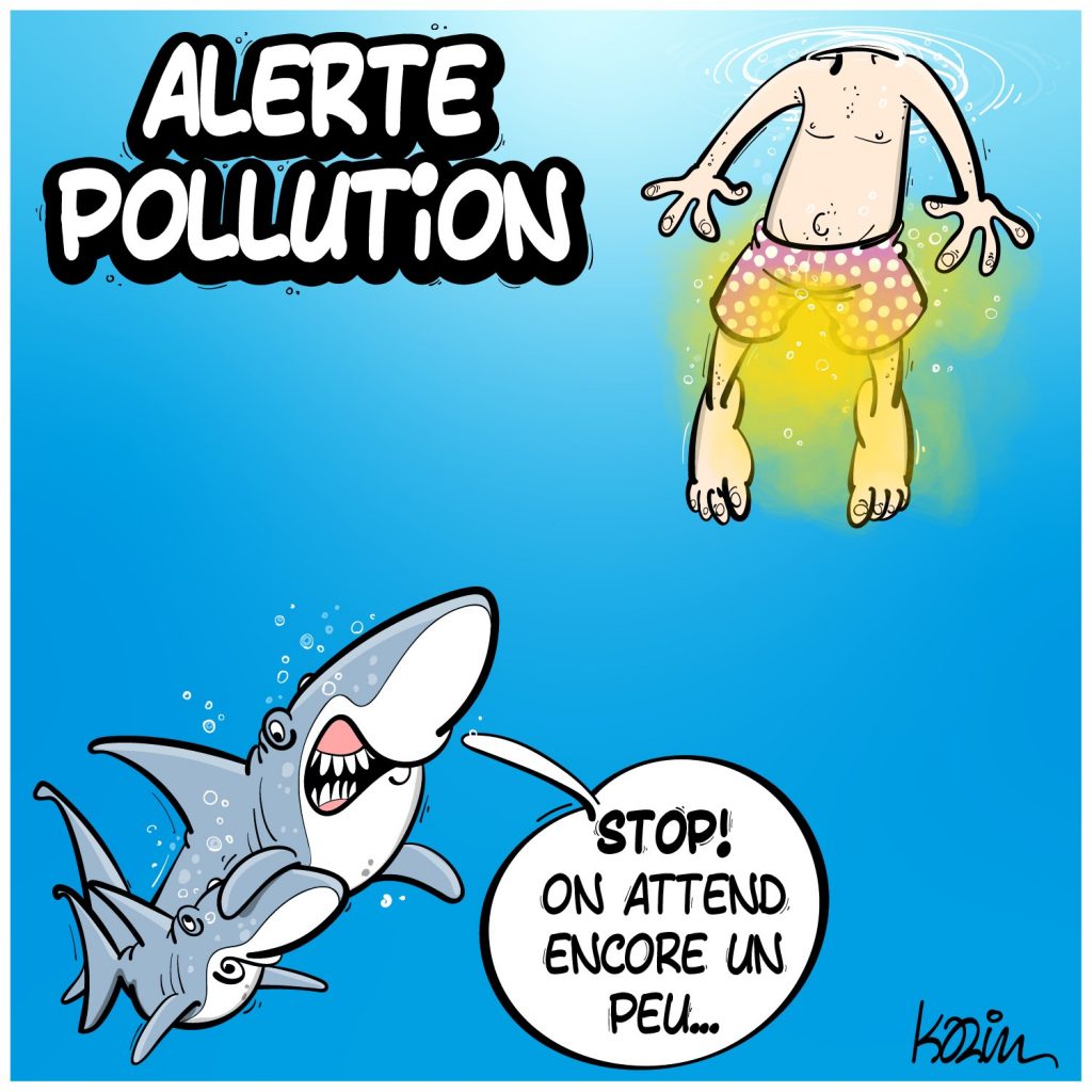 dessin presse humour requins image drôle pollution marine