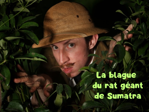 blague Bornéo, blague Sumatra, blague tam-tam, blague percussionniste, blague guide, blague inquiétude, humour drôle