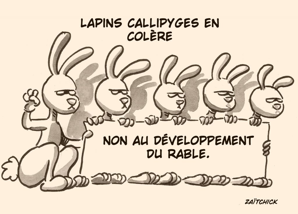 dessin presse humour lapins image drôle développement durable