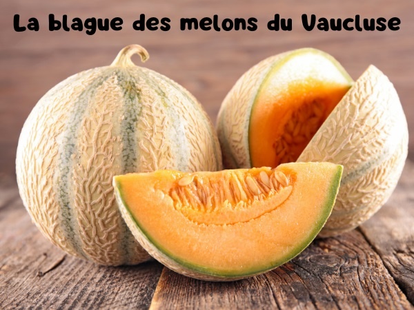 blague retraité, blague jardinage, blague melons, blague Vaucluse, blague cyanure, blague gosses, blague illustrée, humour drôle