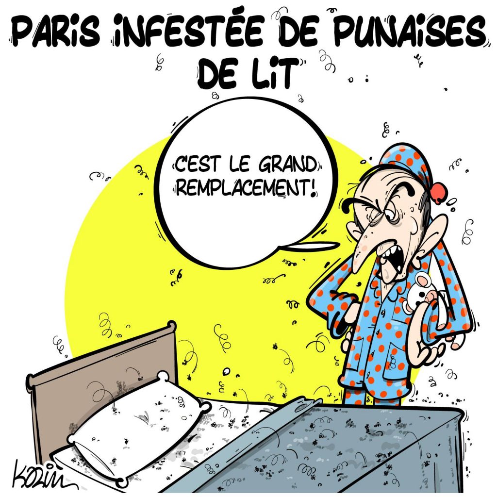 dessin presse humour Éric Zemmour image drôle invasion punaises lit