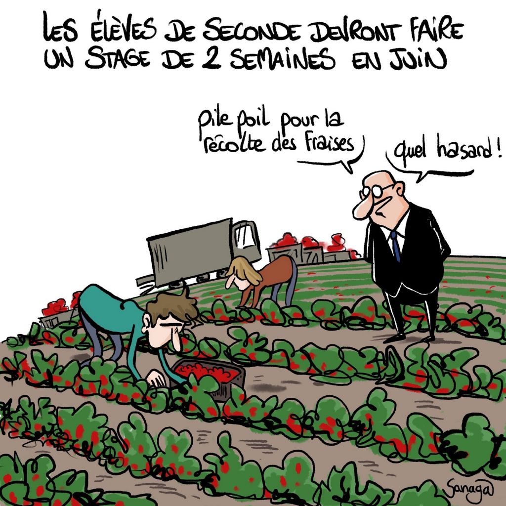 dessin presse humour stage 2 semaines image drôle élèves seconde