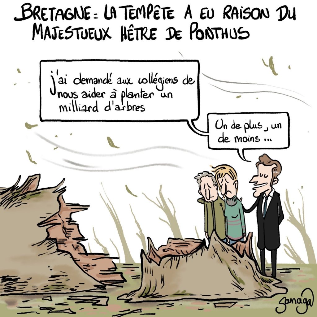 dessin presse humour tempête Bretagne image drôle hêtre Ponthus