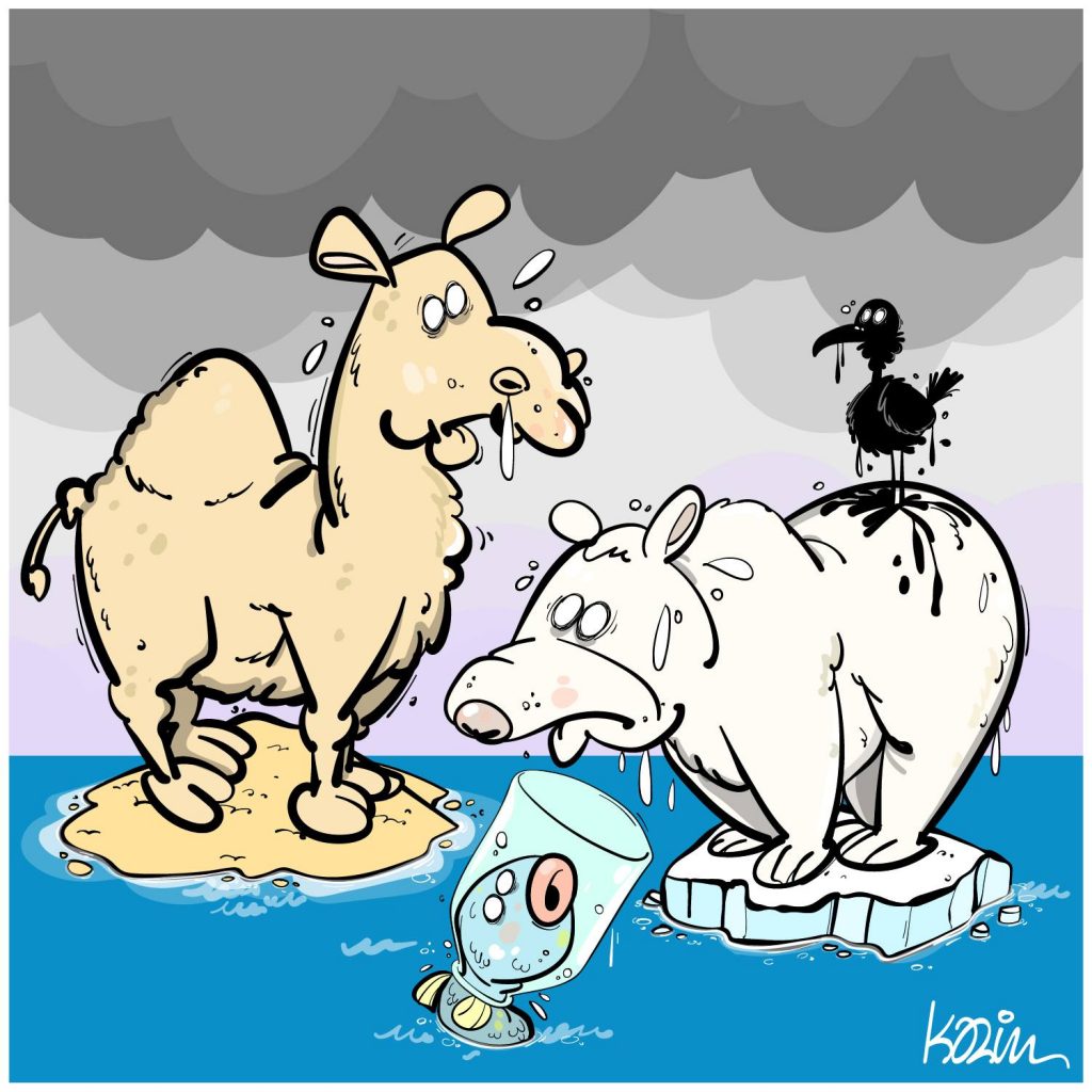dessin presse humour animaux image drôle catastrophes écologiques