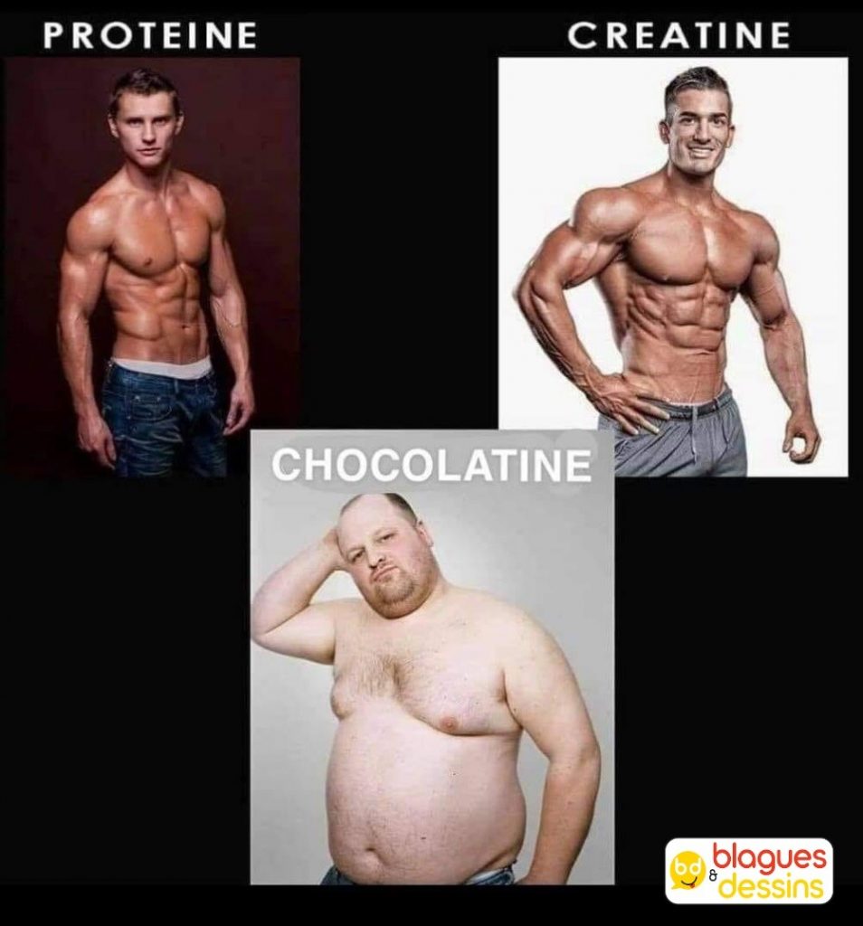 dessin humour protéine créatine image drôle chocolatine musculation