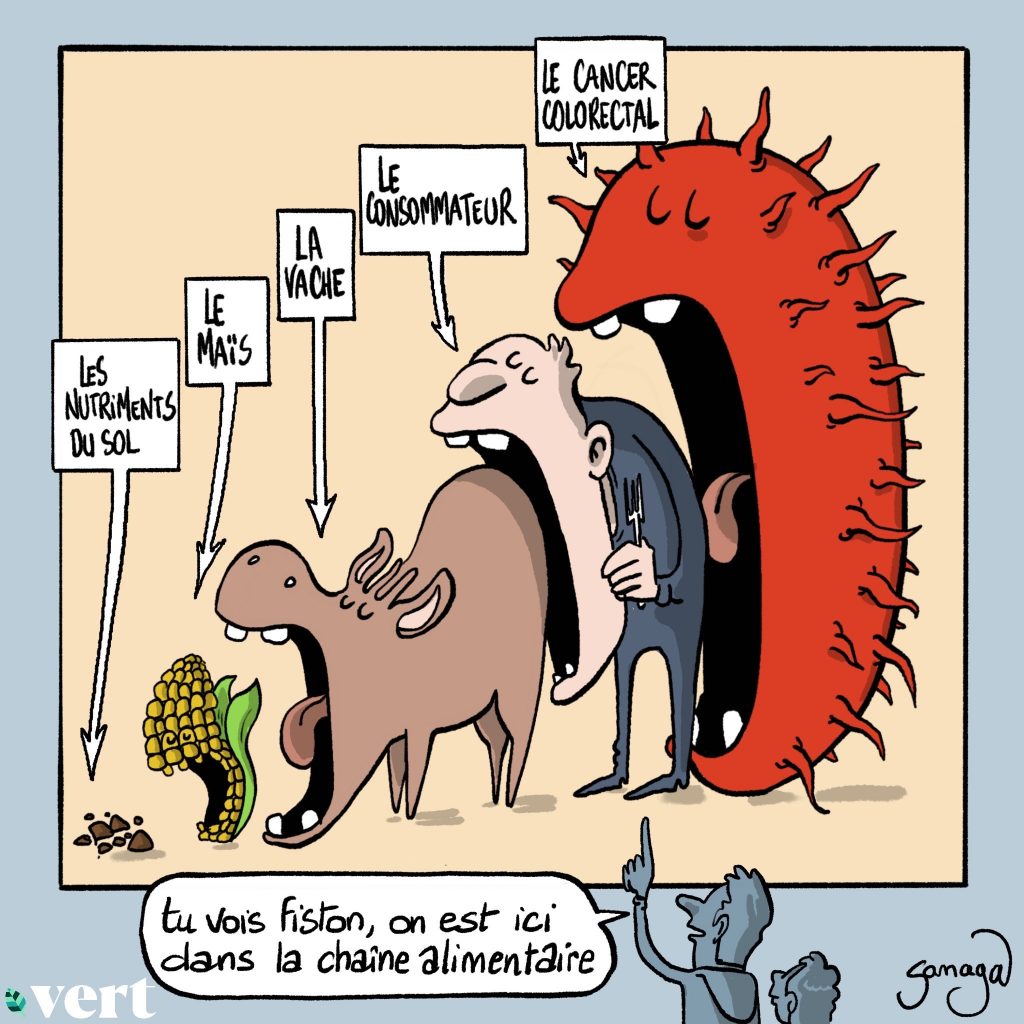 dessin presse humour chaîne alimentaire image drôle cancer colorectal