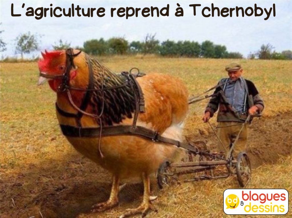 dessin humour agriculture Tchernobyl image drôle poule mutante