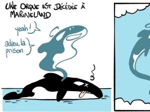 dessin presse humour décès orque image drôle Marineland