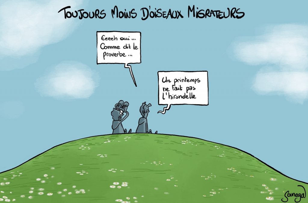 dessin presse humour printemps image drôle raréfaction hirondelles