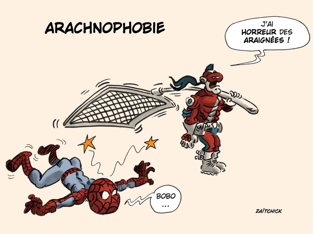 image drôle Le Brigadier Spider-Man arachnophobie