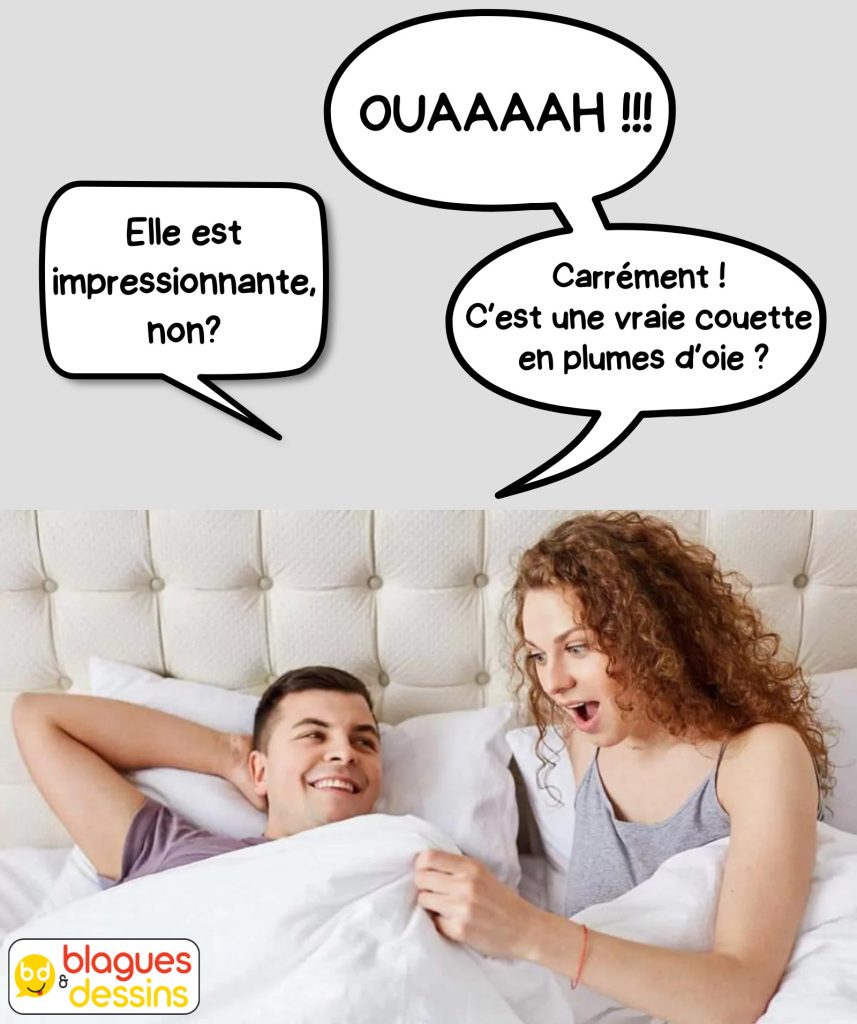 dessin humour taille sexe image drôle couette plume oie