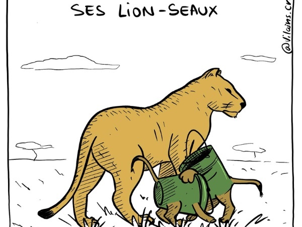 gag image drôle lionceaux dessin blague humour lions seaux