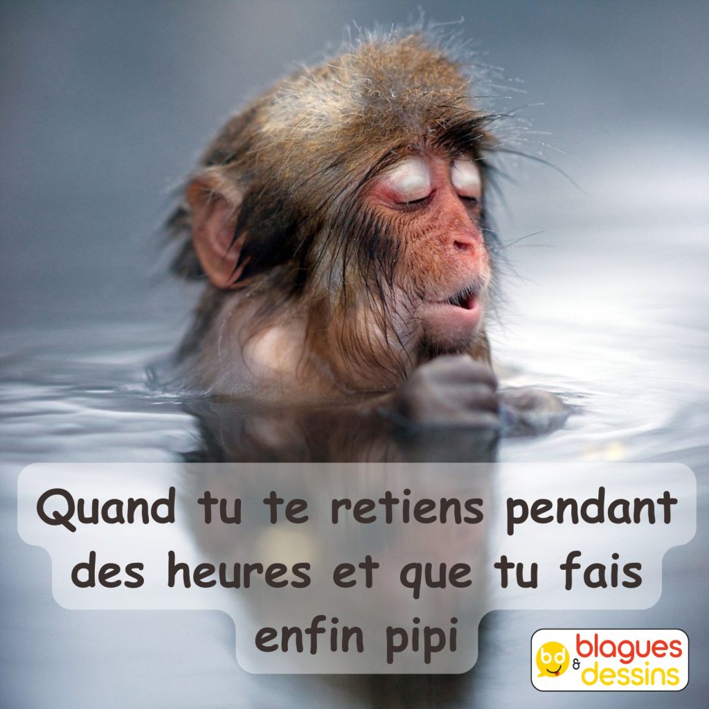 dessin humour bonheur image drôle faire pipi