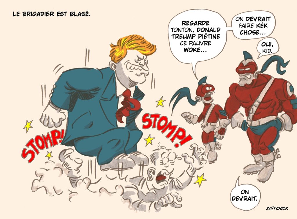 image drôle Le Brigadier Donald Trump wokisme