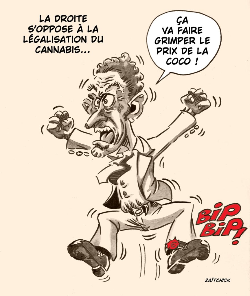 dessin presse humour visite officielle Volodymyr Zelensky image drôle États-Unis